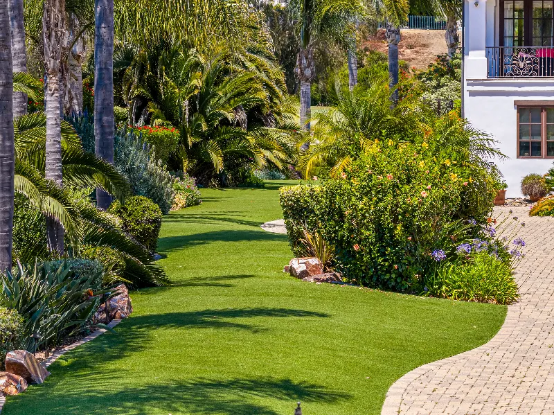 Carlsbad Project